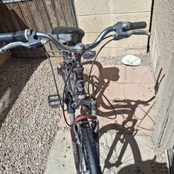 Trek Adult Female Bike