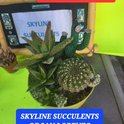SATURDAY 6/18 HUGE SUCCULENT AND PLANT SALE IN SAN LORENZO
