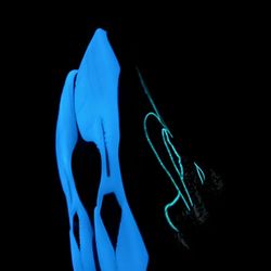 Kobe 5 Xray Nike Protro 