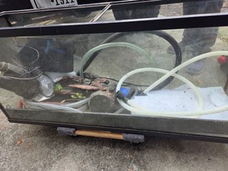 50 gallon fish tank