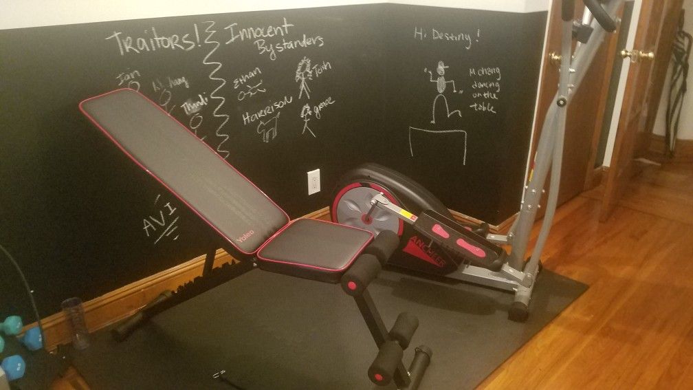 weight bench (brand new)