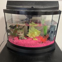 5 Gallon Fish Tank 