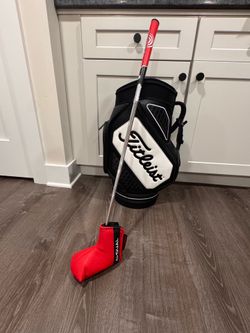 DW 1/2 ball Ai Dual odyssey putter