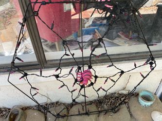 Halloween Spider Web Light Display