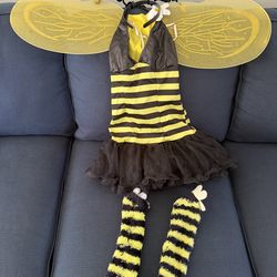 Bumble bee costume
