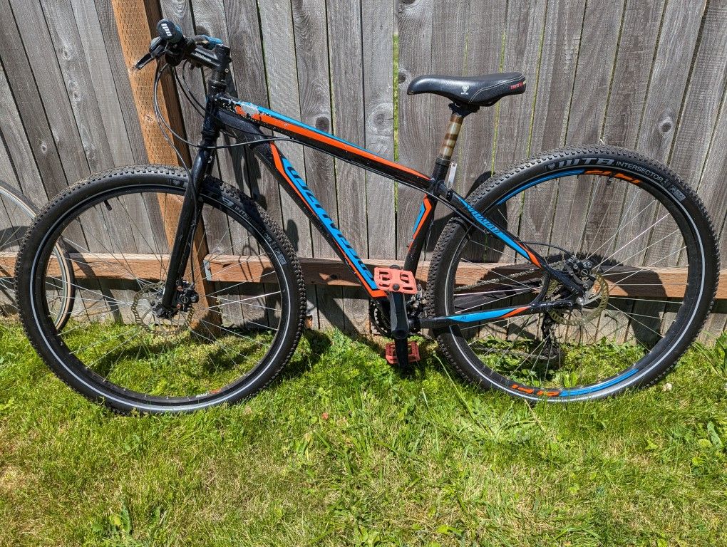 Specialized 29er rigid Surly fork