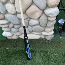 Bat 