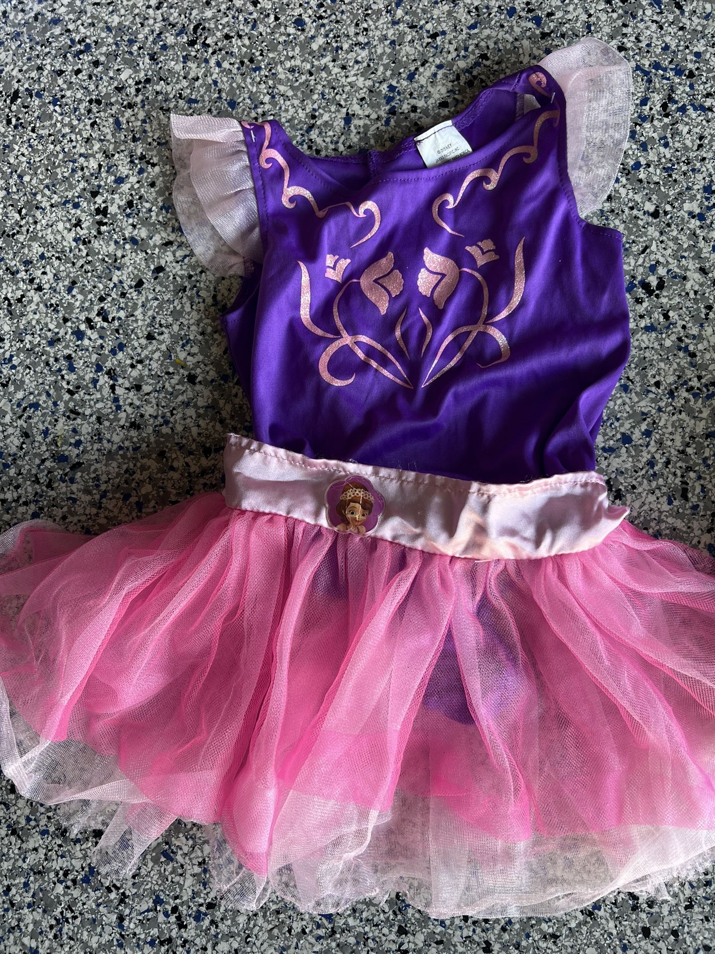 Sofia The First Ballerina Costume
