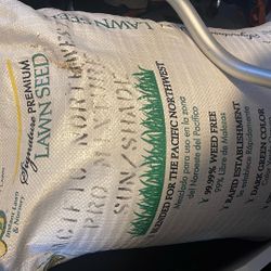 Lawn Seed