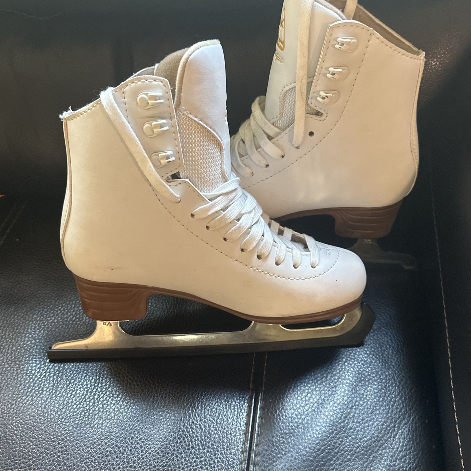 Ice Skates