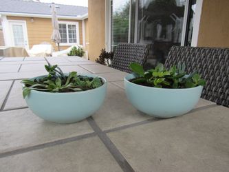 Pair Of Mint Green Garden Pots With Succulents 