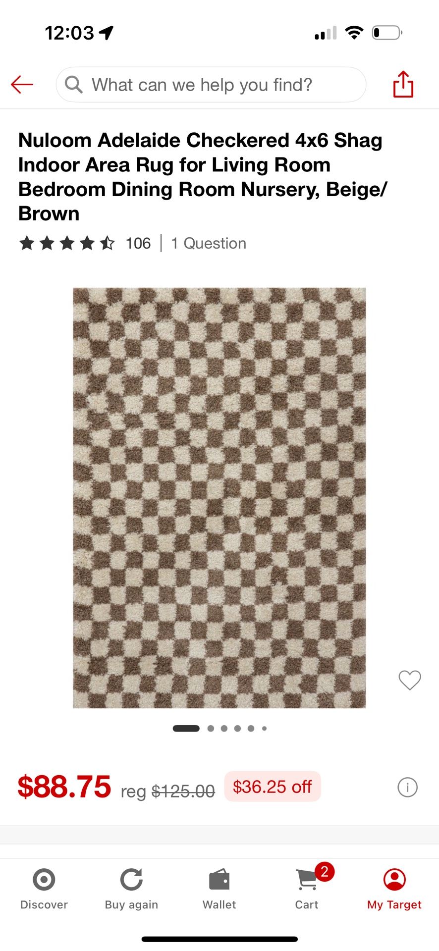 Checked 4x6 Shag Rug