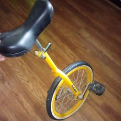 Unicycle 