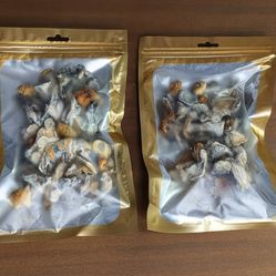 High Quality Dried Mushrooms