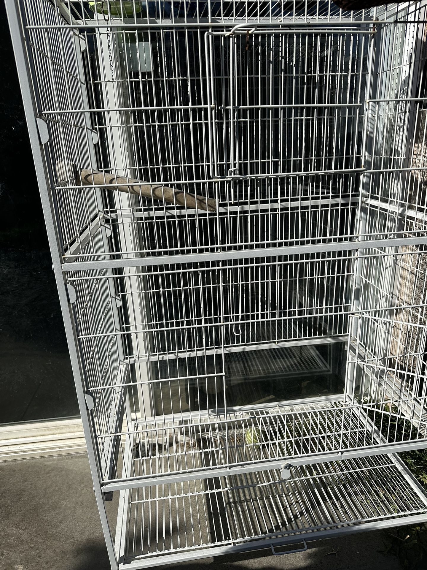 Bird Cage