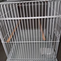 🐦🦜🦜CAGE💚💛🐦🐦🦜