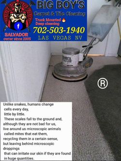 Carpet shampoo