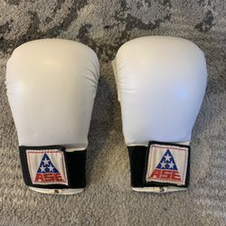 Karate gloves