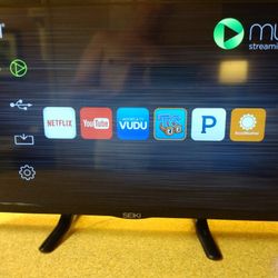 32Inch, Seiki Flat Screen T.V.or,Computer, Monitor for All Games Too 