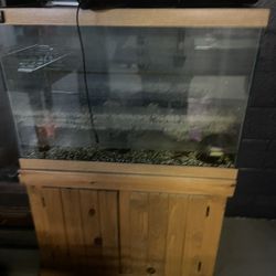 50 gallon fish tank