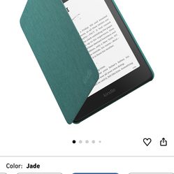 Kindle colorsoft case