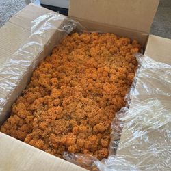Preserved/Stabilized moss , Bulk 8.8lb