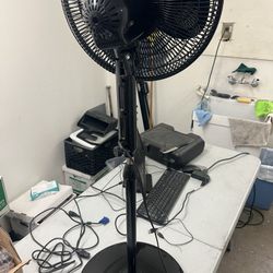 Oscillating Pedestal Fan 16” 