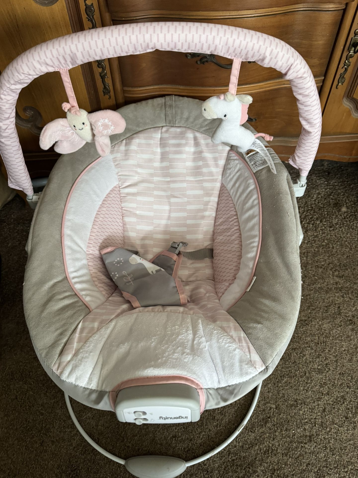 Baby Bouncer