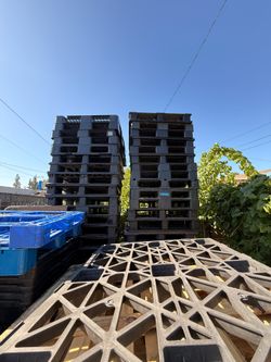 Plastic Pallets