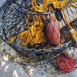 Lobster Hoops Fully Equipped 