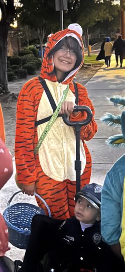 Tiger Costume 