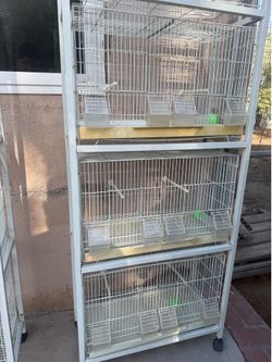 Bird cages