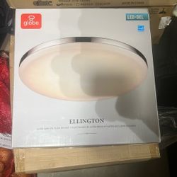 Led-del Globe Lights 