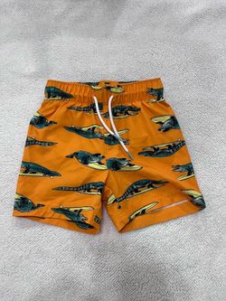 Toddler Boy Swim Shorts