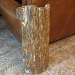 Polished Petrified Wood