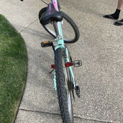 Schwinn mountain bike, blue and pink 24” 
