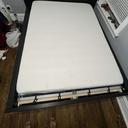 Queen Foam Mattress 
