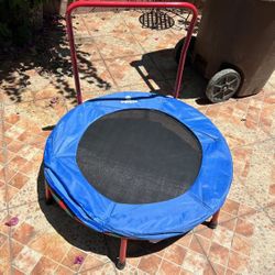 Brincador Ara Niños
