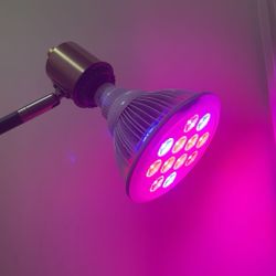 plant grow lamp 