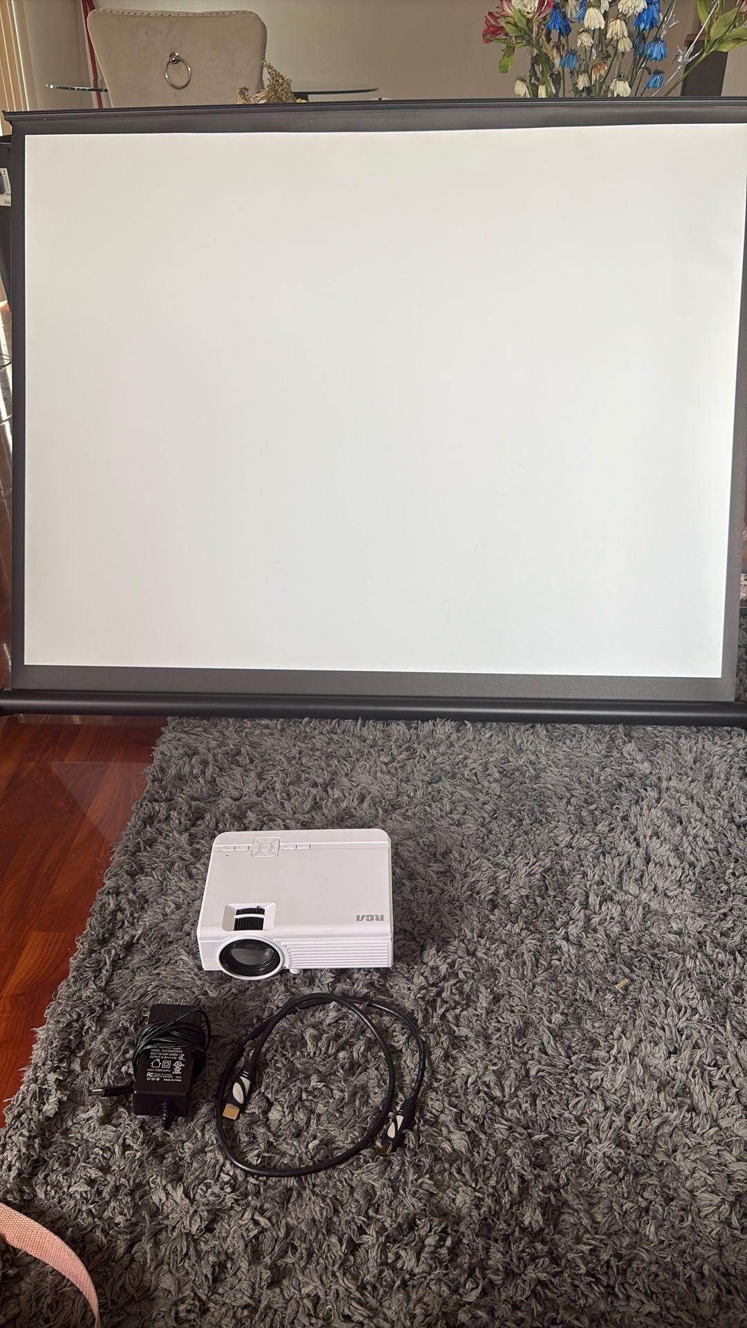 Projector And Screen