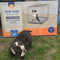 Top Paw Folding Crate