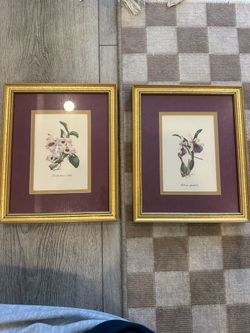 set of framed flower art