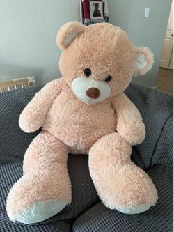 Large Teddy Bear
