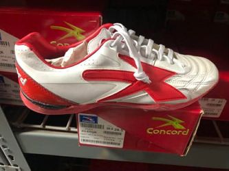 Zapato para indor