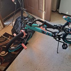 Bike Stolen
