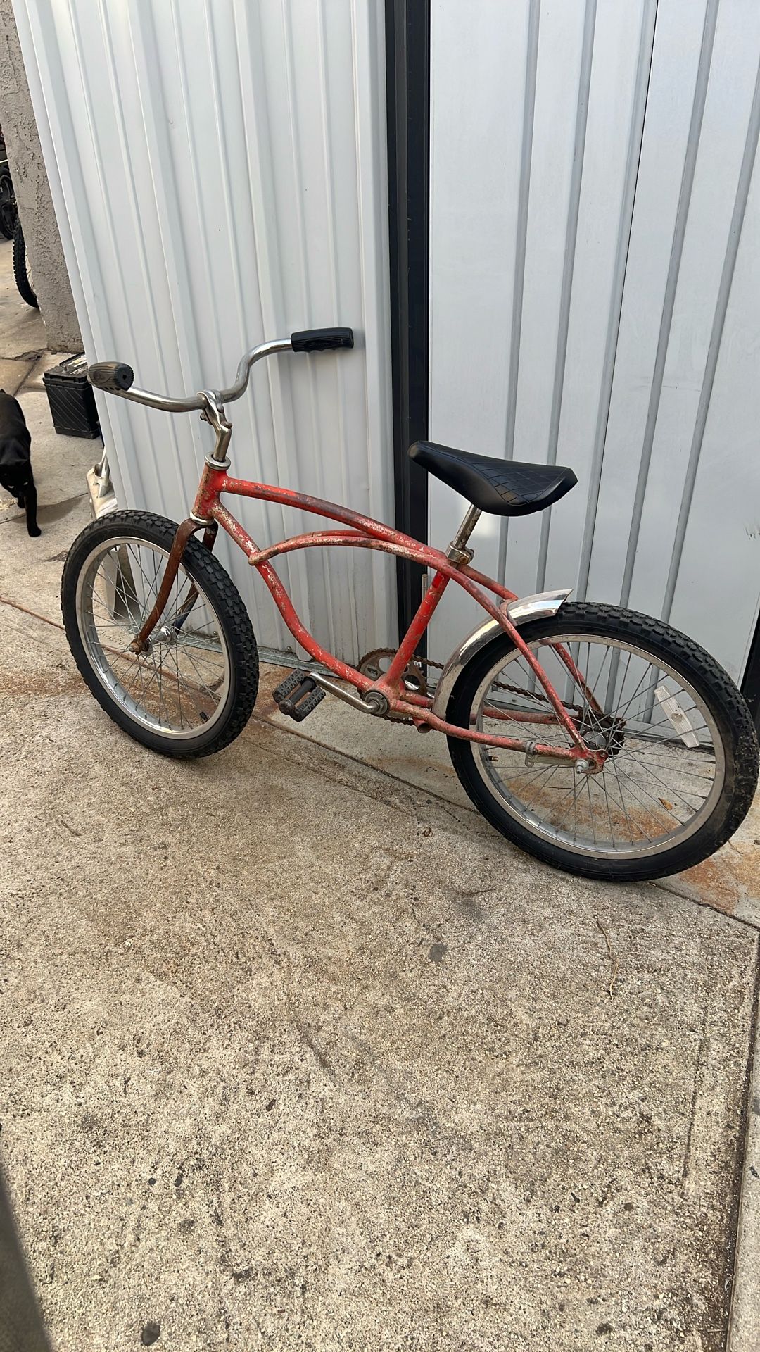 Schwinn Bike