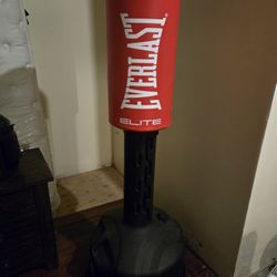 Standing Boxing Bag....everlast