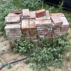 4 x 8 x 2 bricks