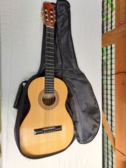 Student beginner guitar and case in excellent condition