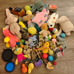 Dog Toys-soft Toys , Balls, Container Etc